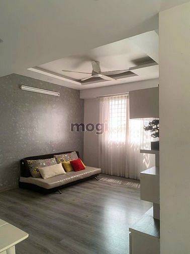 4307173 ảnh đại diện 2