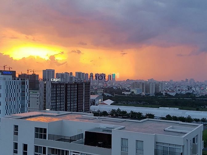 4308914 ảnh đại diện 1