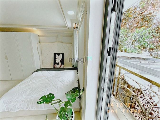 4307176 ảnh đại diện 2