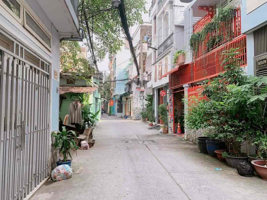 4308673 ảnh đại diện 1