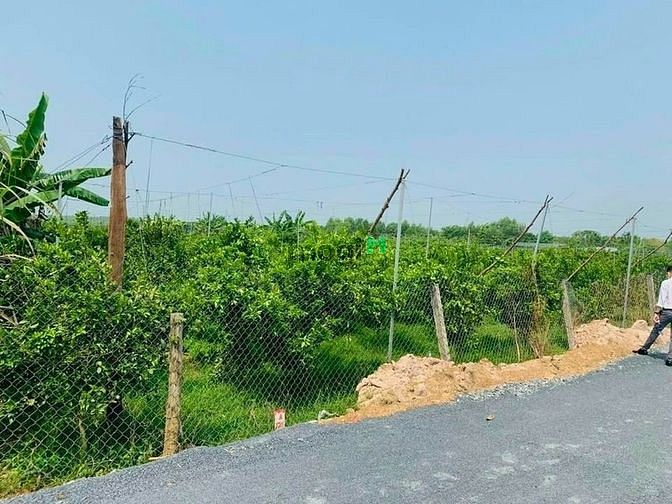 4306633 ảnh đại diện 1