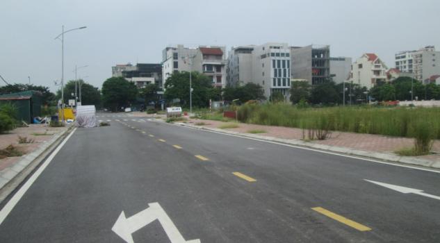 4306778 ảnh đại diện 1