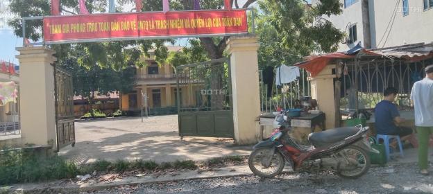 4309169 ảnh đại diện 2