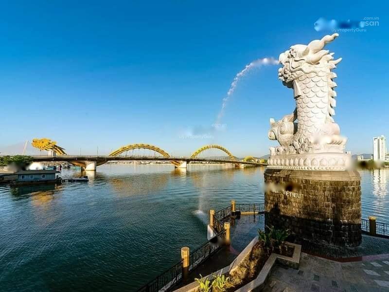 4309452 ảnh đại diện 1