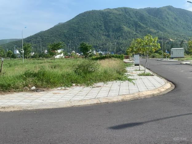4309576 ảnh đại diện 2
