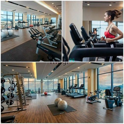 4308427 ảnh đại diện 1