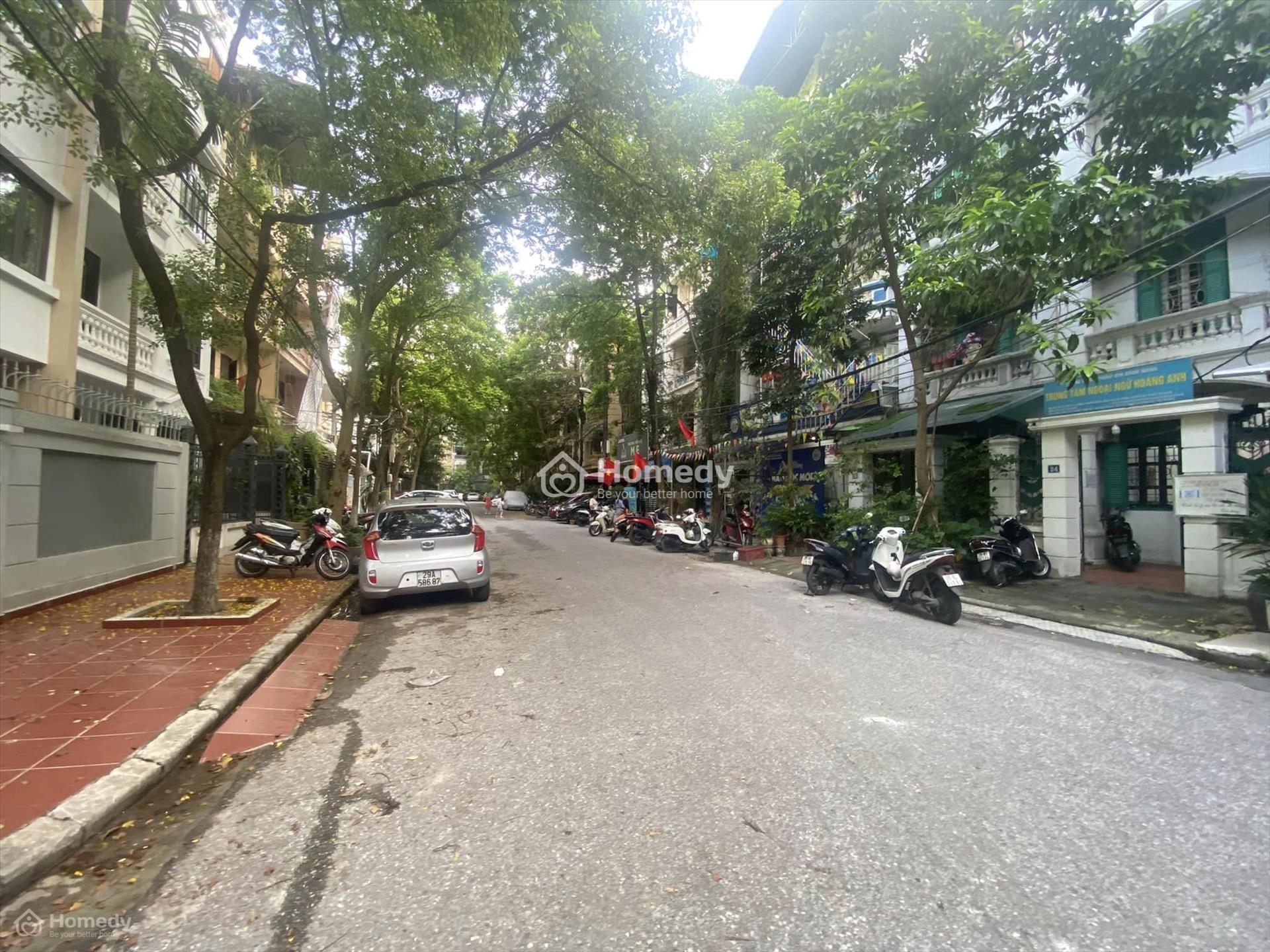 4306254 ảnh đại diện 1