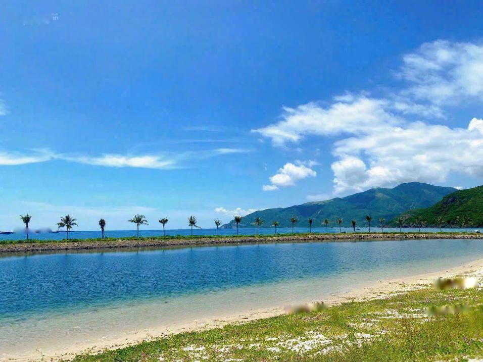 4307643 ảnh đại diện 1