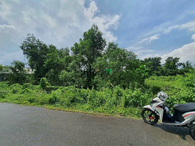 4308216 ảnh đại diện 1