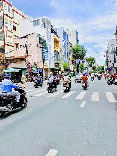4309257 ảnh đại diện 1