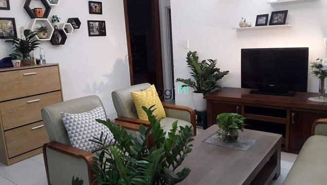 4310171 ảnh đại diện 1