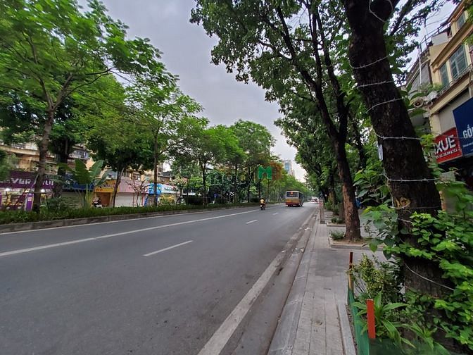 4307273 ảnh đại diện 1