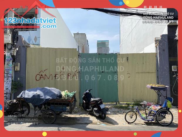 4306622 ảnh đại diện 1