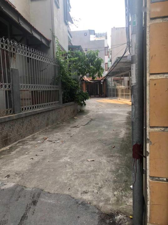 4309141 ảnh đại diện 1