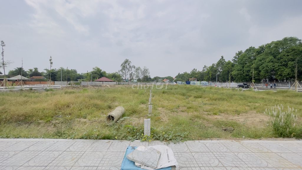 4306072 ảnh đại diện 1