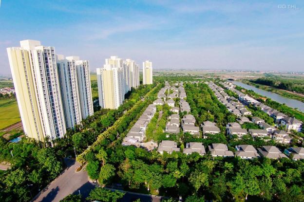 4310048 ảnh đại diện 1