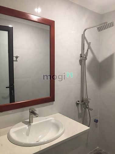 4308593 ảnh đại diện 2