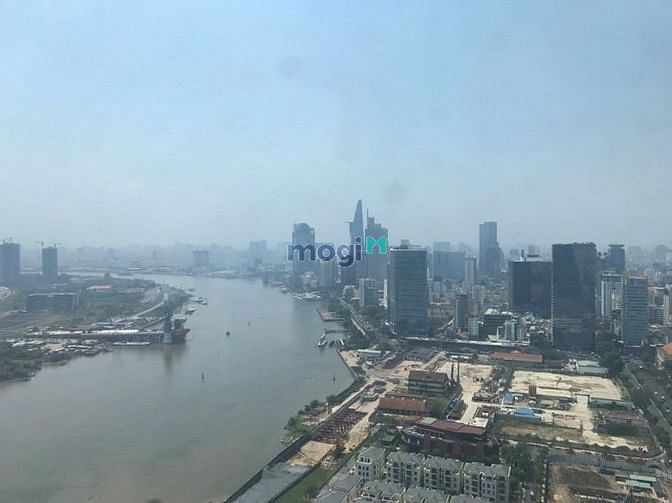 4309843 ảnh đại diện 1