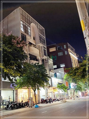 4307683 ảnh đại diện 1