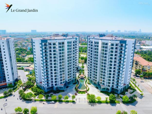 4308413 ảnh đại diện 1