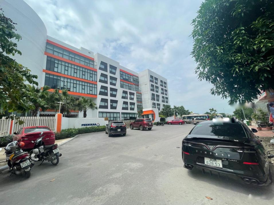 4309153 ảnh đại diện 2