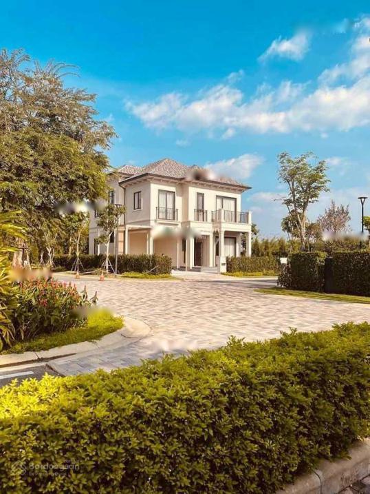 4309906 ảnh đại diện 1