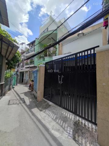 4309078 ảnh đại diện 2