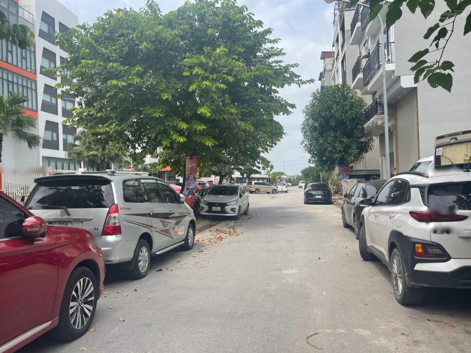 4309153 ảnh đại diện 1