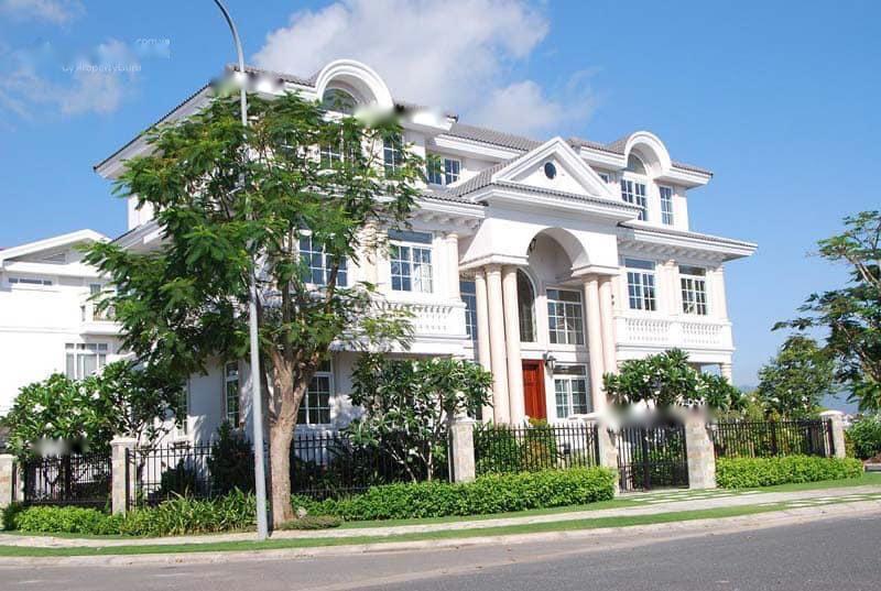 4307644 ảnh đại diện 1
