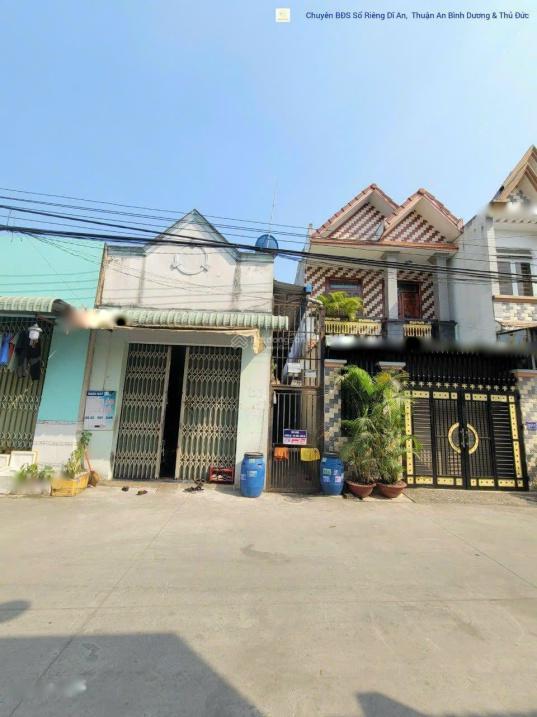 4308975 ảnh đại diện 1
