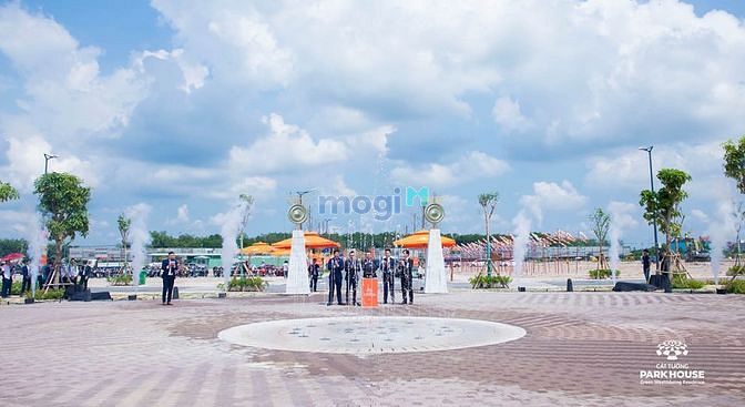 4309439 ảnh đại diện 1