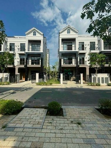 4307325 ảnh đại diện 1