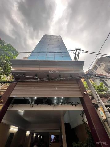 4309061 ảnh đại diện 1