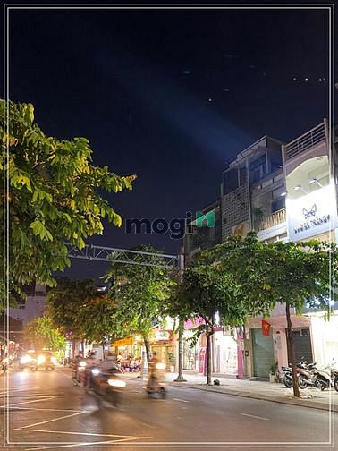 4307683 ảnh đại diện 1