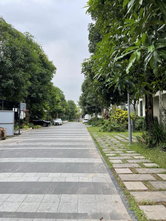 4309596 ảnh đại diện 1