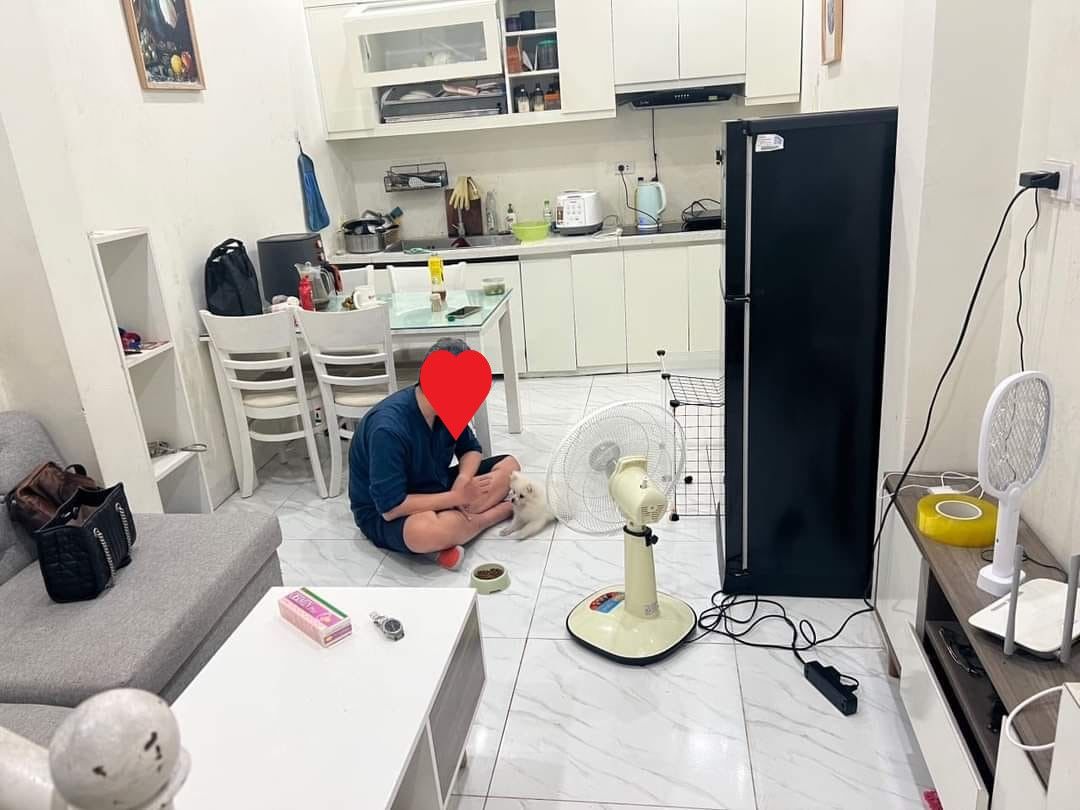 4306357 ảnh đại diện 2