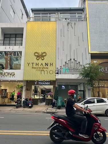 4309259 ảnh đại diện 1