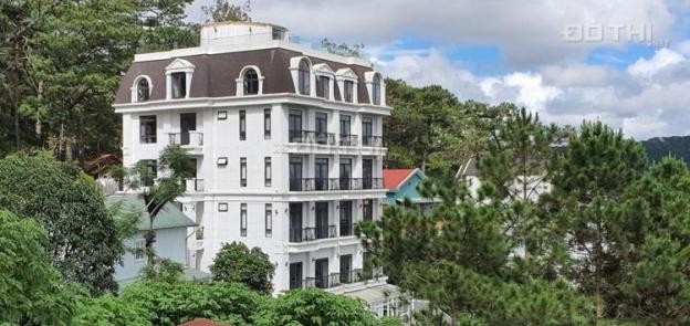 4306848 ảnh đại diện 1
