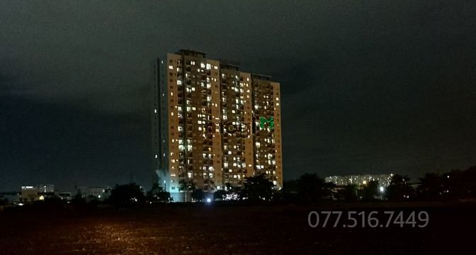 4306648 ảnh đại diện 1