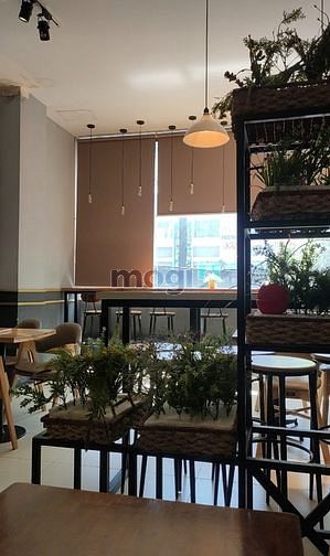 4309476 ảnh đại diện 1