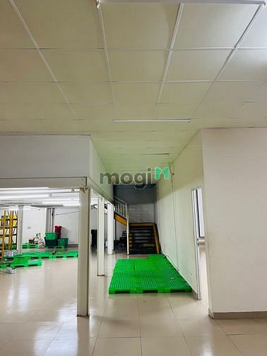 4307032 ảnh đại diện 2