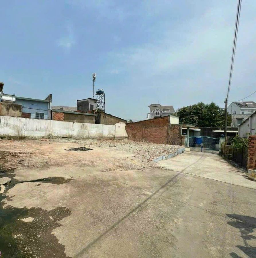 4306783 ảnh đại diện 1