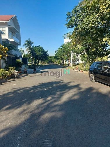 4307276 ảnh đại diện 1