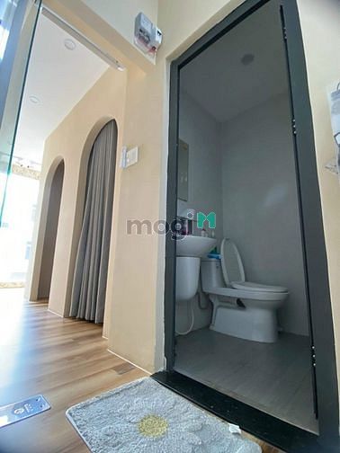 4309255 ảnh đại diện 1