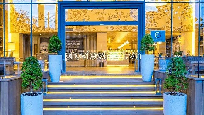 4307628 ảnh đại diện 2