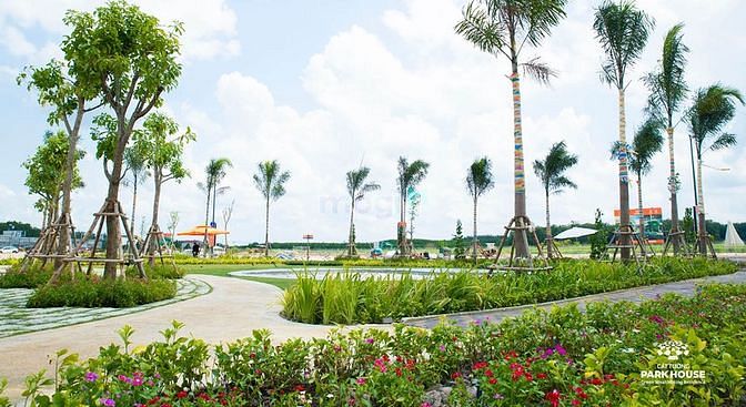 4309439 ảnh đại diện 1