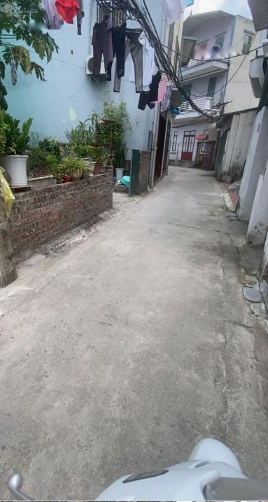 4306294 ảnh đại diện 1