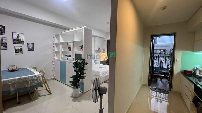 4306964 ảnh đại diện 1