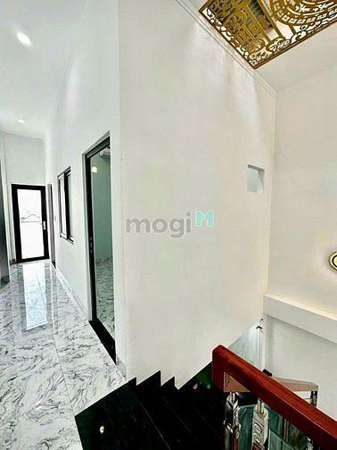 4307434 ảnh đại diện 2