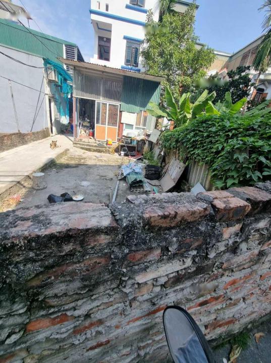 4309139 ảnh đại diện 1